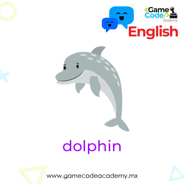 Acuatic - Dolphin