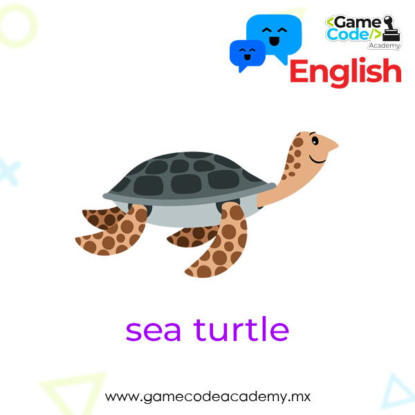 Acuatic - Sea Turtle