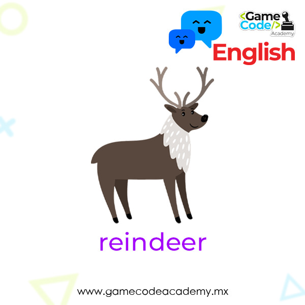 Arctic - Reindeer