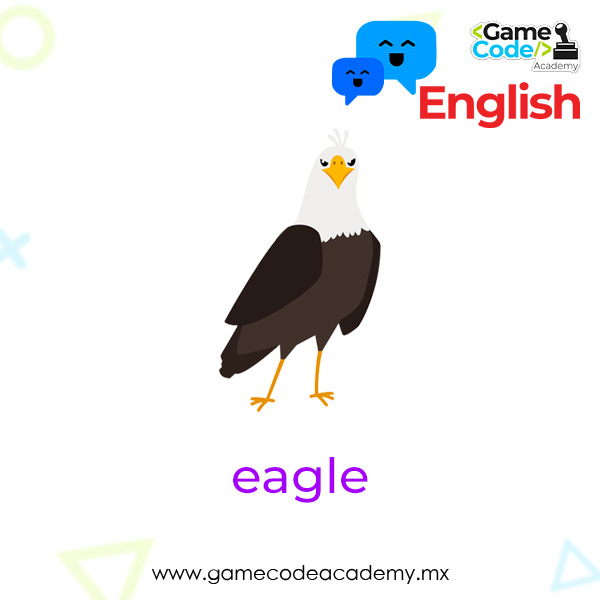 Birds - Eagle