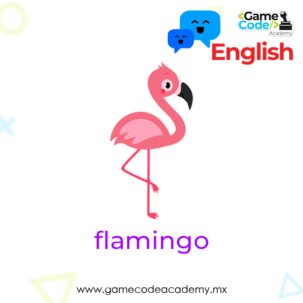 Birds - Flamingo