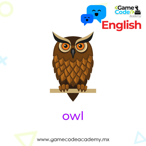 Birds - Owl