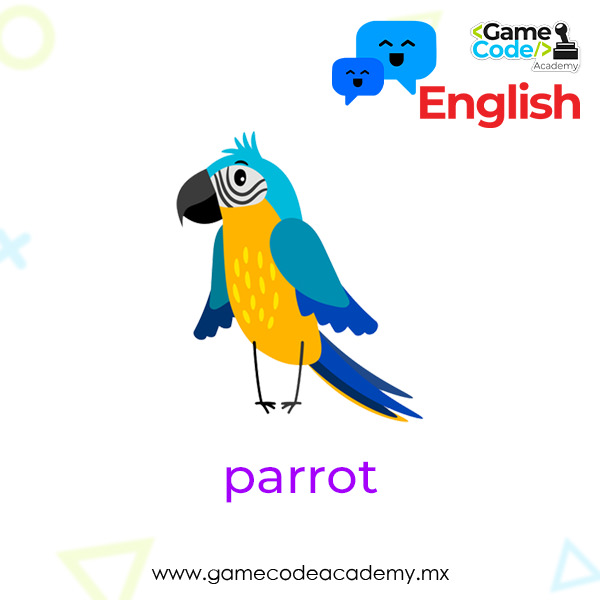 Birds - Parrot