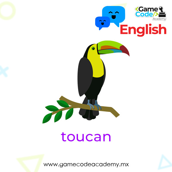 Birds - Toucan