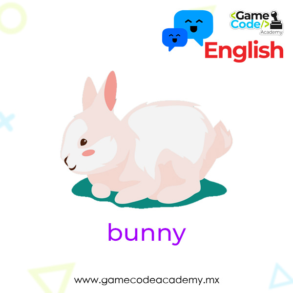 Domestic - Bunny
