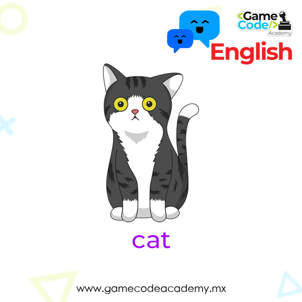 Domestic - Cat
