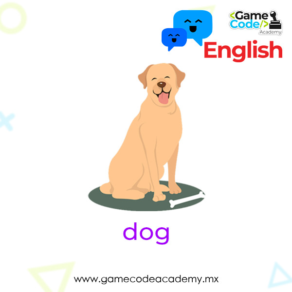 Animals - Dog