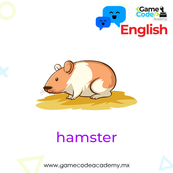 Domestic - Hamster
