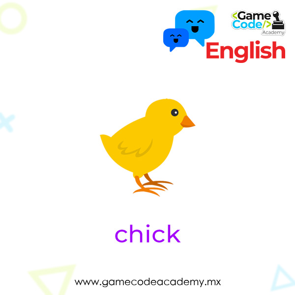 Farm - Chick