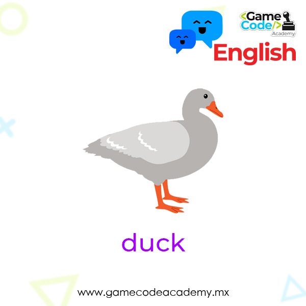 Farm - Duck