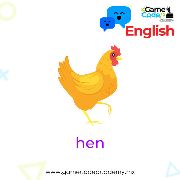 Farm - Hen