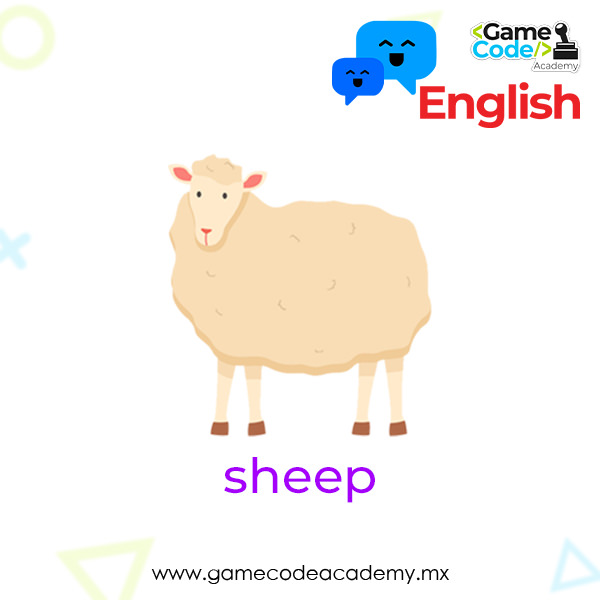 Farm - Sheep