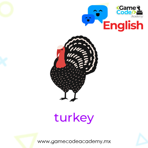 Farm - Turkey