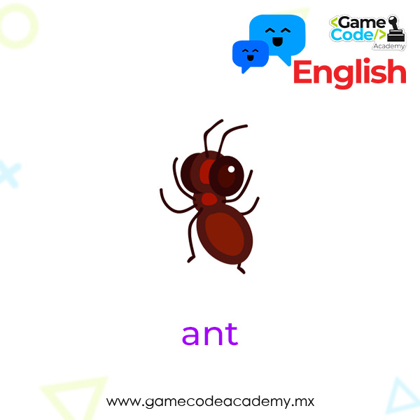 Insects - Ant