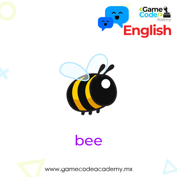 Insects - Bee