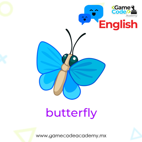 Insects - Butterfly