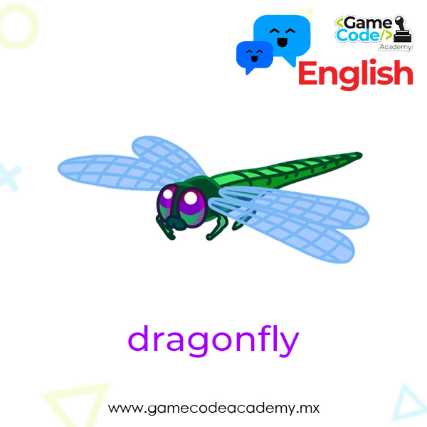 Insects - Dragonfly