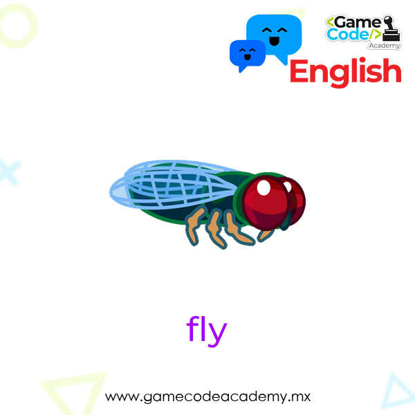 Insects - Fly