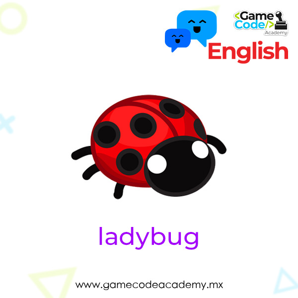 Insects - Ladybug