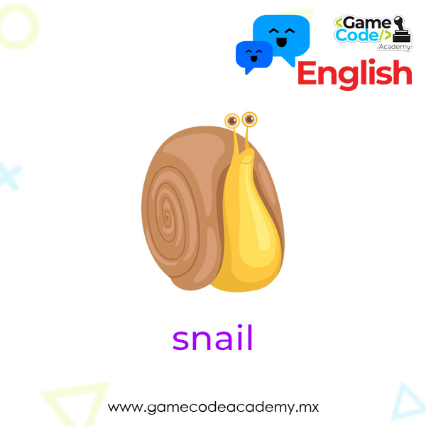 Insects - Snail