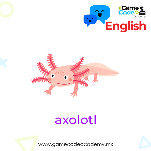 Amphibian - Axolotl