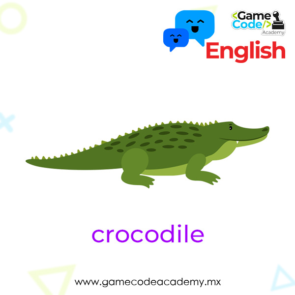 Reptile - Crocodile