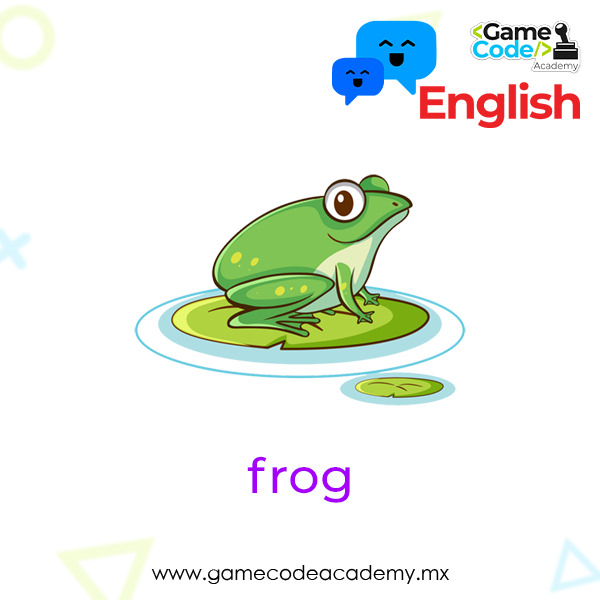 Amphibian - Frog