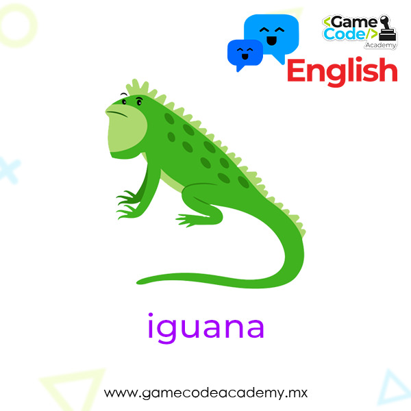 Reptile - Iguana
