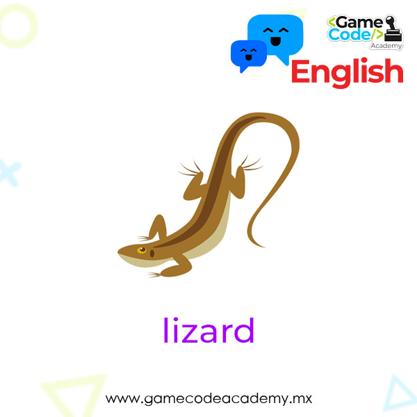 Reptile - Lizard