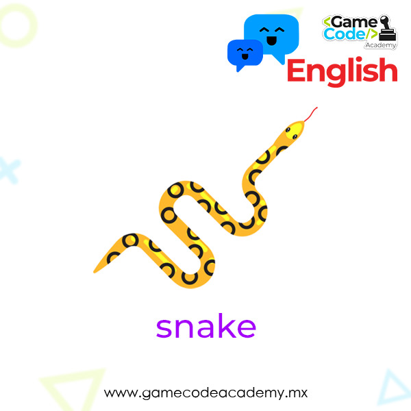 Reptile - Snake