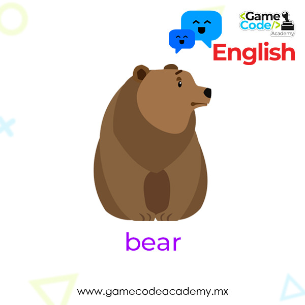 Wild - Bear