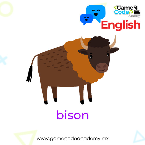 Wild - Bison