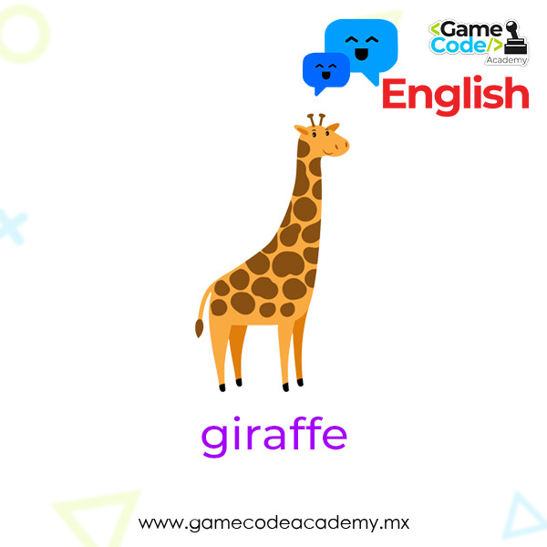 Wild - giraffe