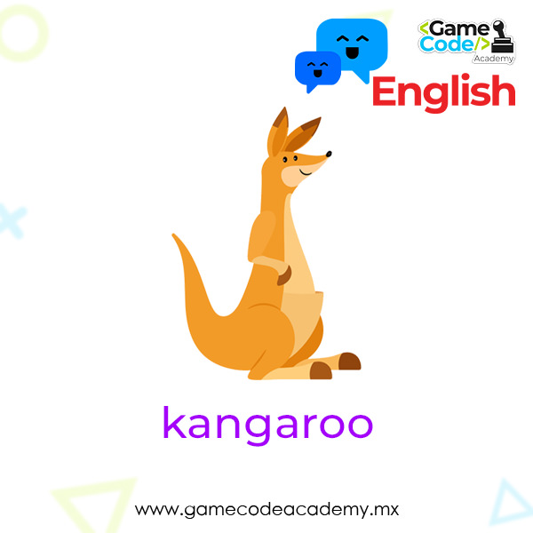Wild - Kangaroo