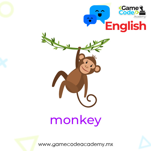Wild - Monkey