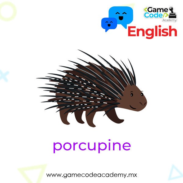 Wild - Porcupine