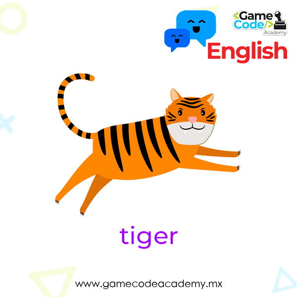 Wild - Tiger
