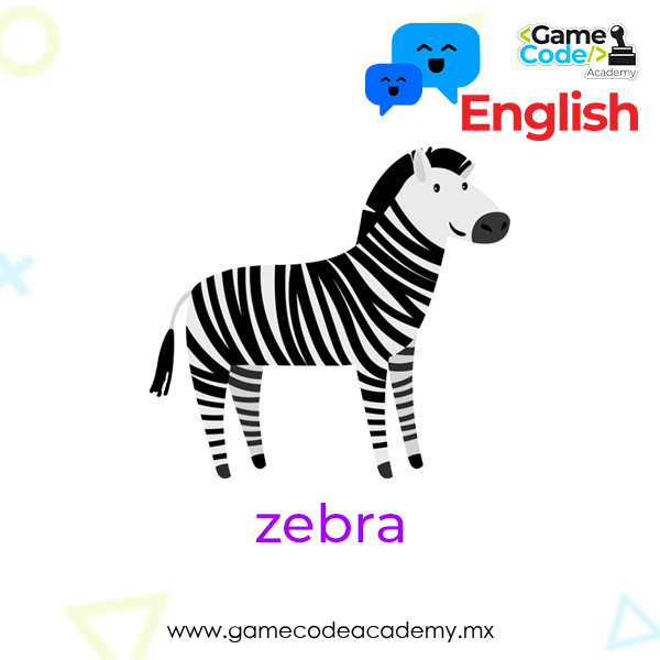 Wild - Zebra