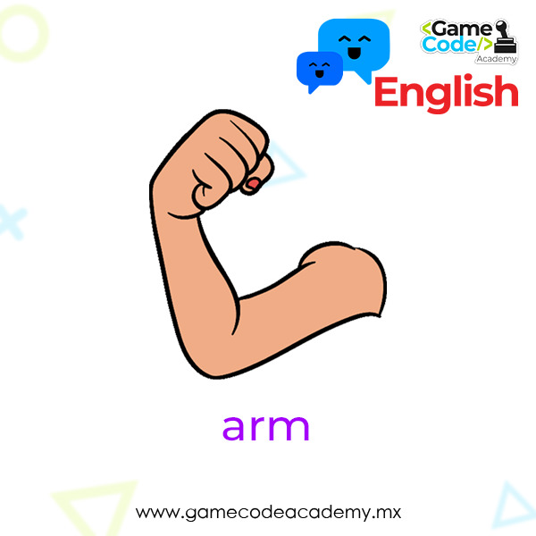 Body - Arm