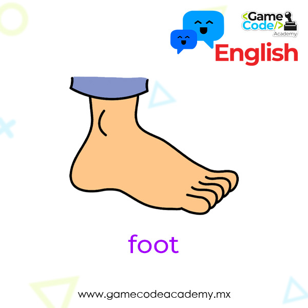 Body - Foot