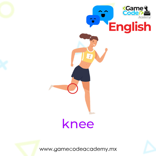 Body - Knee