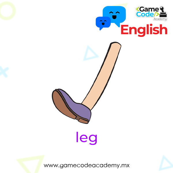 Body - Leg