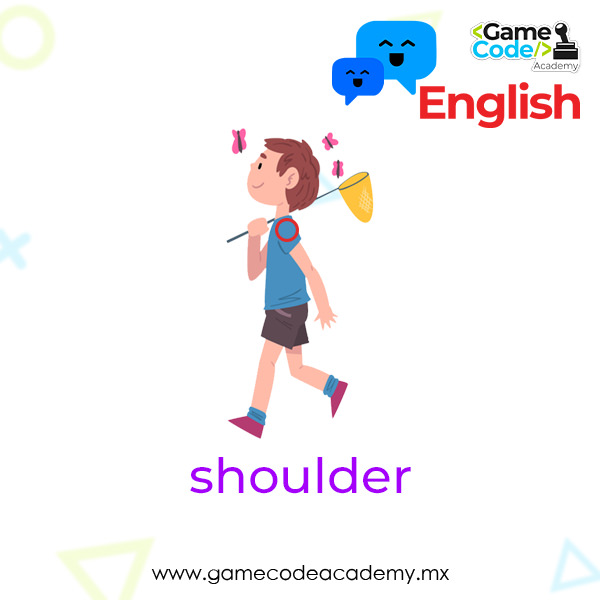 Body - Shoulder