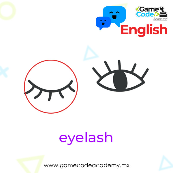 Face - Eyelash